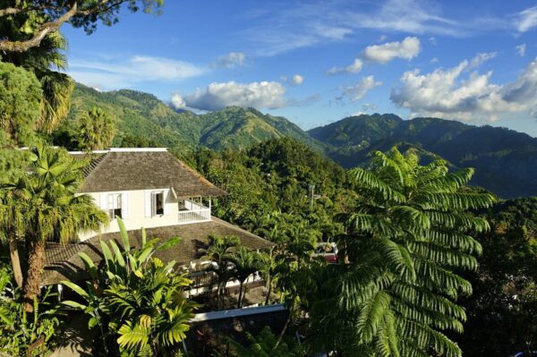 Blue Mountains, Kingston, Jamaica - Image 4