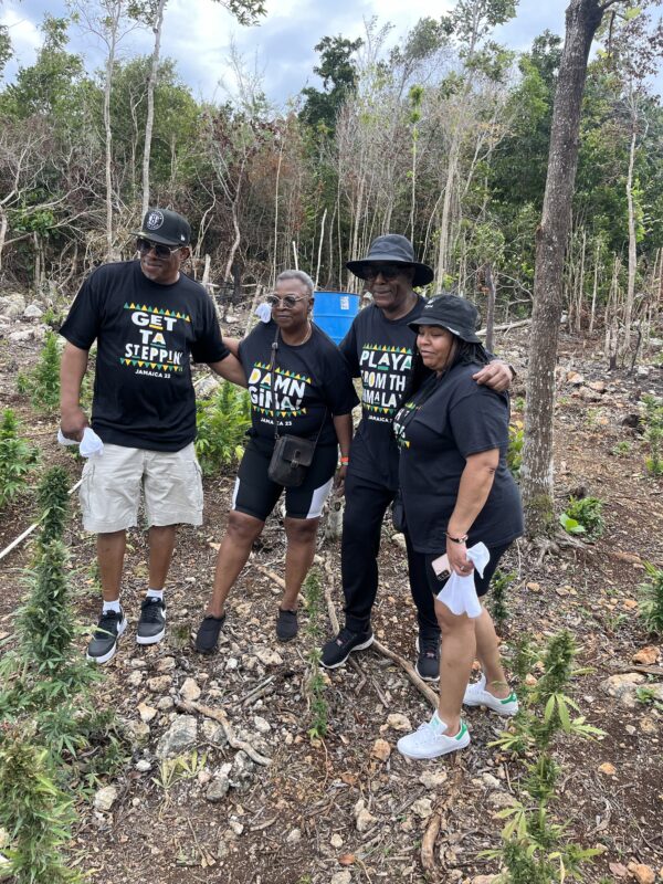 Weed Farm Tour Montego Bay - Image 2